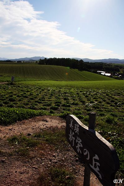 北海道美瑛新榮之丘