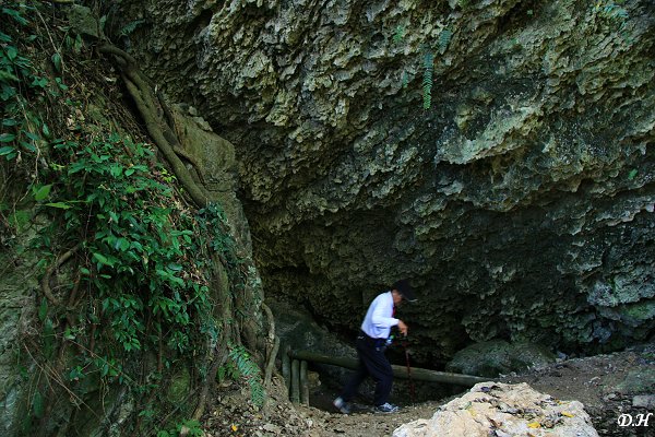 登山步道途中的石灰岩洞