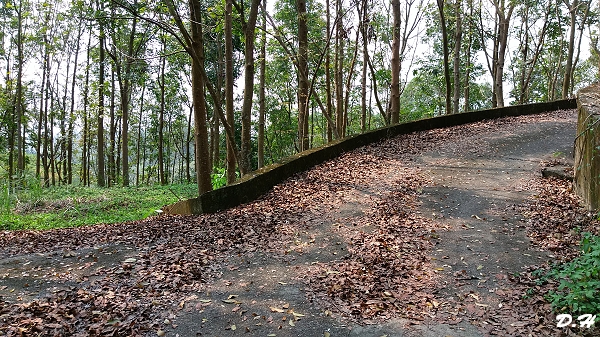 左荒廢路