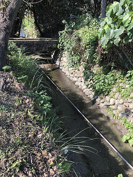石頭溪圳土堤與小水橋