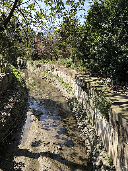 隆恩街158巷附近水圳