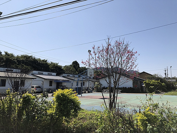 搬遷後的三鶯部落