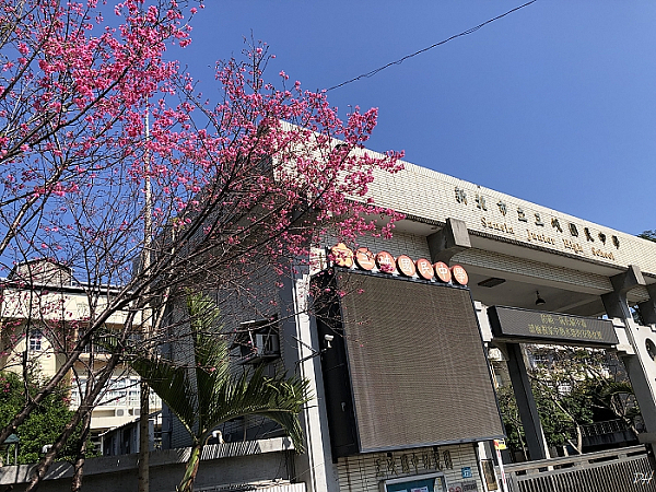 三峽國中