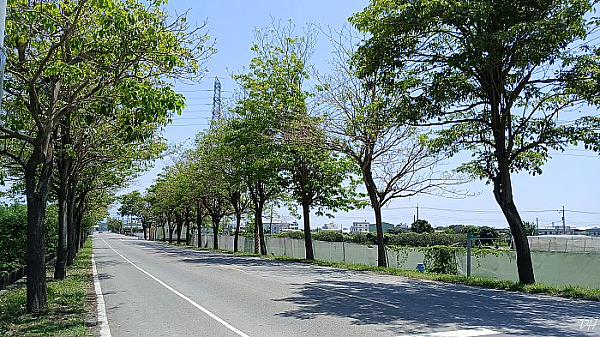 油車子