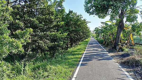 矮樹自行車道