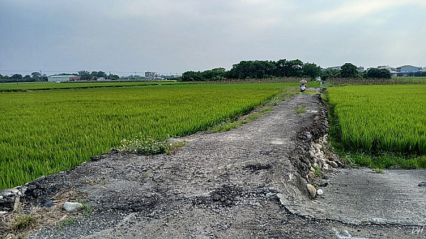 田埂無路