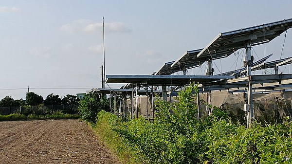 裕農街上光電板