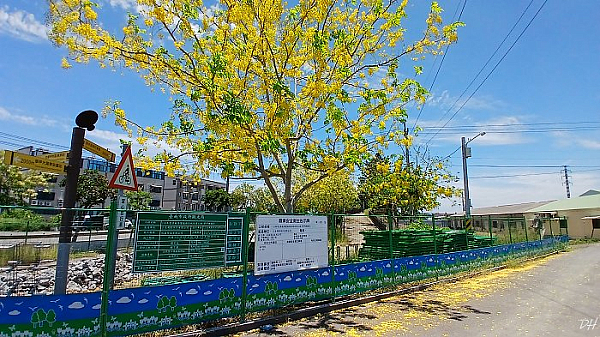 卸蔗高台附近路口