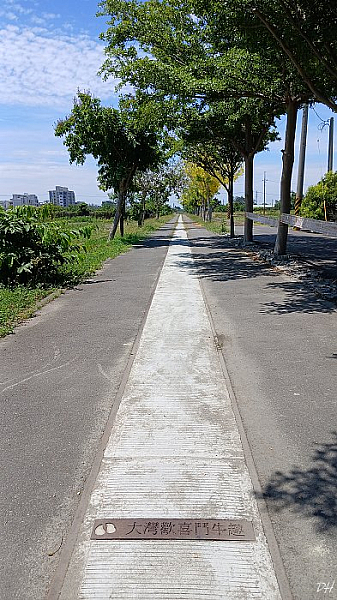 大灣歡喜鬥牛趣