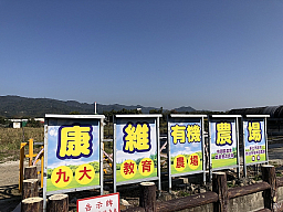 康維有機農場