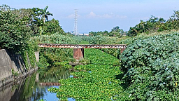 菜寮溪磚橋