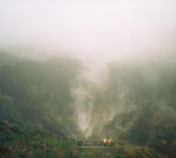 oil.jpg (4780 bytes)