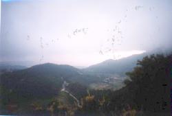 chong_zin.jpg (4328 bytes)