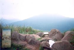 hat.jpg (6549 bytes)