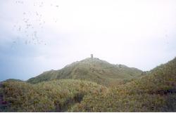 seven_star6.jpg (5151 bytes)