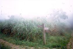 twin.jpg (7563 bytes)