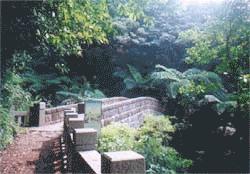 road3.jpg (11972 bytes)