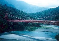 malin.jpg (9567 bytes)