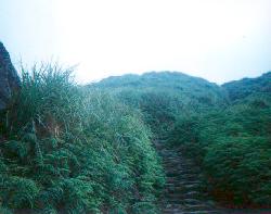 path.jpg (9235 bytes)