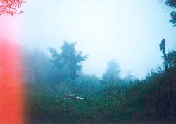 path2.jpg (5638 bytes)