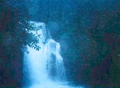 wawa2.jpg (8353 bytes)