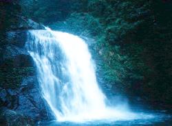 wawa3.jpg (9176 bytes)