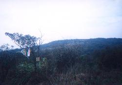 fushin.jpg (6616 bytes)