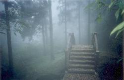 easteyemt3.jpg (5951 bytes)