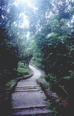 dalunto01.jpg (19997 bytes)