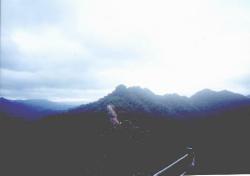 emperor01.jpg (2990 bytes)