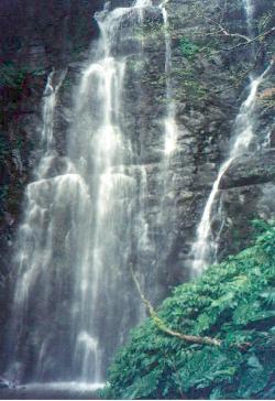 fall.jpg (21174 bytes)