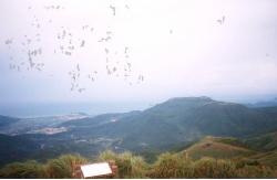 seven_star3.jpg (5302 bytes)