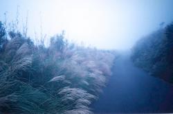 fushin.jpg (6616 bytes)