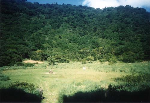 towardsky.jpg (30623 bytes)